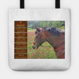 What is a Horse Tote