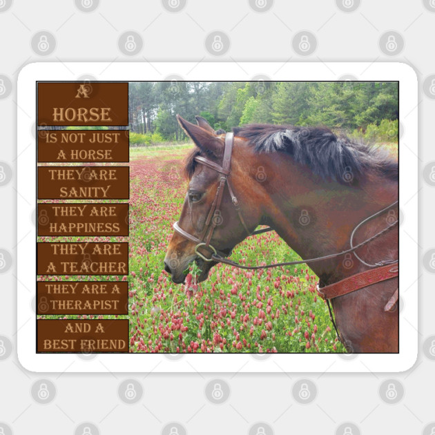 What is a Horse Sticker by DickinsonDesign