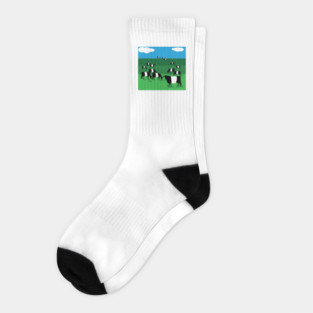 Belted Galloway Cattle Socks