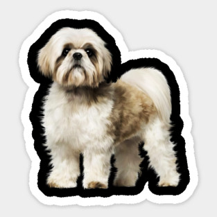 Cute Shih Tzu, Dog Lover Magnet