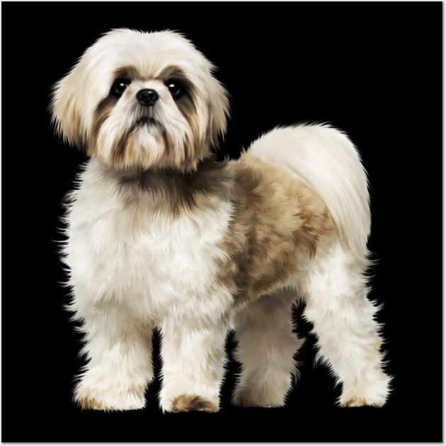 Cute Shih Tzu, Dog Lover Wall Art by logiamerch