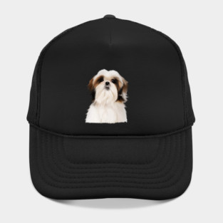 Shih tzu Dog Hat