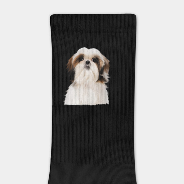 Shih tzu Dog by logiamerch