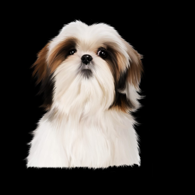Shih tzu Dog by logiamerch