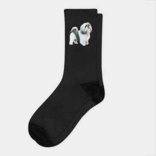 Shih tzu Dog Socks