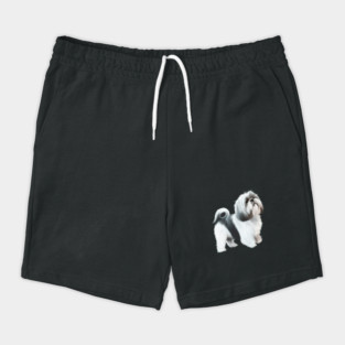 Shih tzu Dog Shorts
