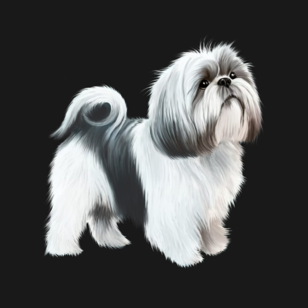 Shih tzu Dog by logiamerch
