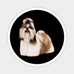 Cute Shih Tzu, Dog Lover Magnet