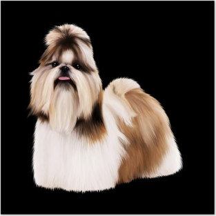 Cute Shih Tzu, Dog Lover Posters and Art