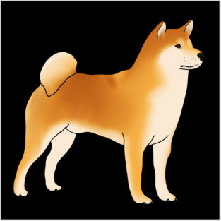 Shiba Inu Dog, Shiba Inu Lovers Posters and Art