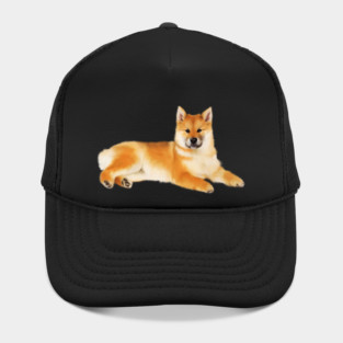Shiba Inu Dog Resting, Love Shiba Inu Dogs Hat