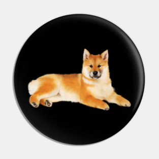 Shiba Inu Dog Resting, Love Shiba Inu Dogs Pin