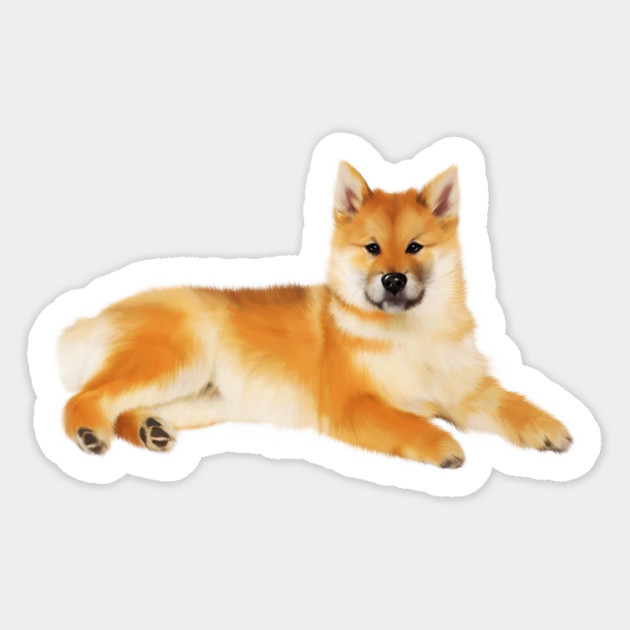 Shiba Inu Dog Resting, Love Shiba Inu Dogs Sticker by logiamerch