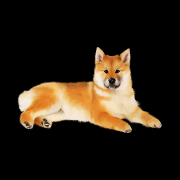 Shiba Inu Dog Resting, Love Shiba Inu Dogs by logiamerch