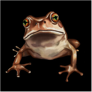 Brown Frog, Tropical Animal, Love Frogs Posters and Art