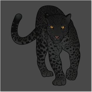 Black Jaguar Panther Stalking Posters and Art