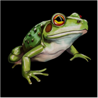 Green Frog, Tropical Animal, Love Frogs Posters and Art
