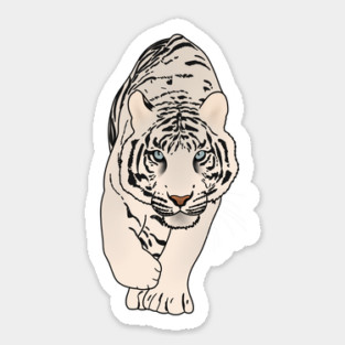 White Tiger Stalking, Love Tigers Sticker