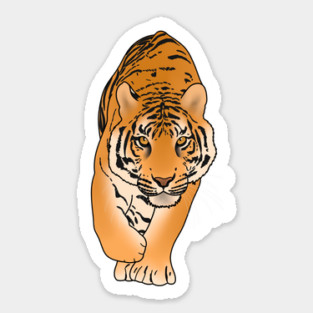 Tiger Stalking, Big Cat, Love Tigers Sticker