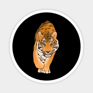 Tiger Stalking, Big Cat, Love Tigers Magnet