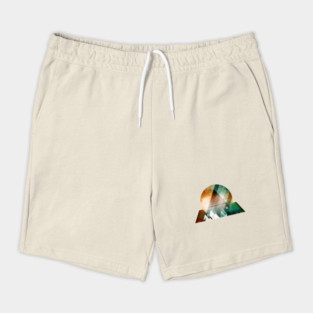 ∆ : Revelance Shorts