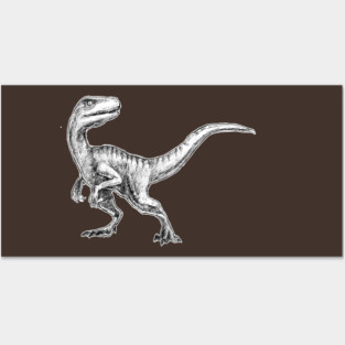 Velociraptor Posters and Art