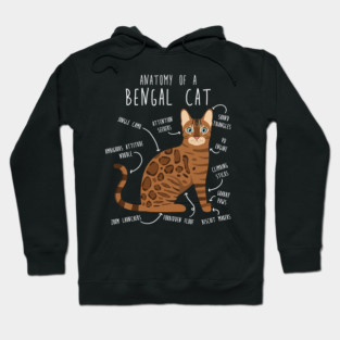 Bengal Cat Anatomy Hoodie