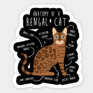 Bengal Cat Anatomy Sticker