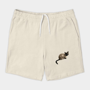 Siam Cat, Siamese Cat Shorts