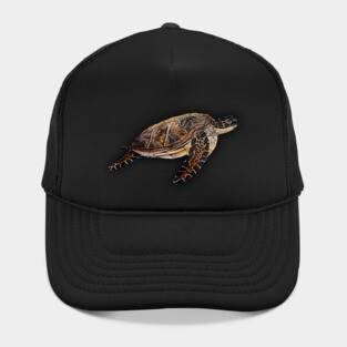 Sea turtle t-shirt designs Hat