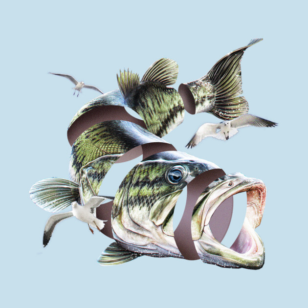 Flying Fish by tomburns