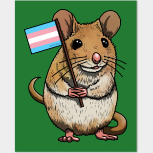 Mouse With Trans Flag Posters and Art