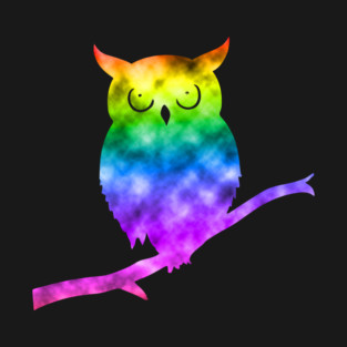 Rainbow Owl T-Shirt