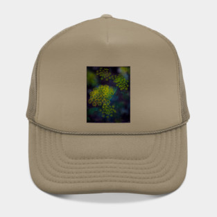 Roadside Fireworks Hat