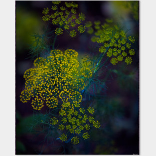 Roadside Fireworks Posters and Art