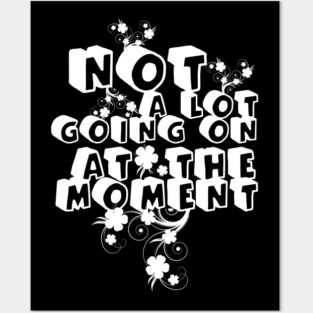 NOT A LOT GOING ON AT THE MOMENT Posters and Art