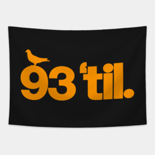 93 til infinity Tapestry