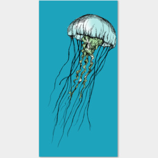 Jellyfish Print Posters and Art