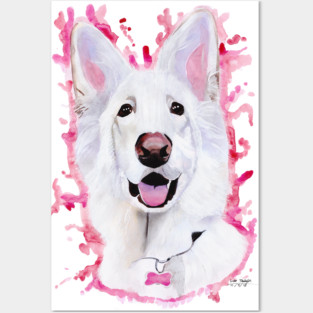 White Swiss Shepherd Posters and Art