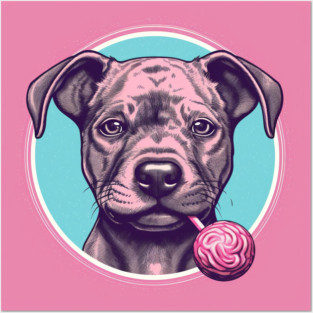 Staffy Lollipop Posters and Art