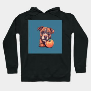 Saffy Peach Hoodie