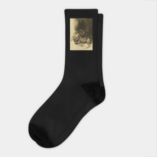Poe's Raven and Skull Socks