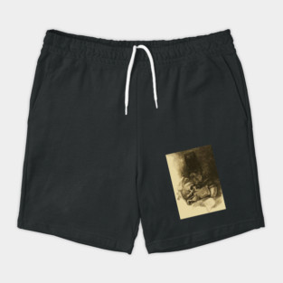 Poe's Raven and Skull Shorts