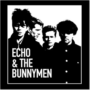 echo the bunnymen Posters and Art