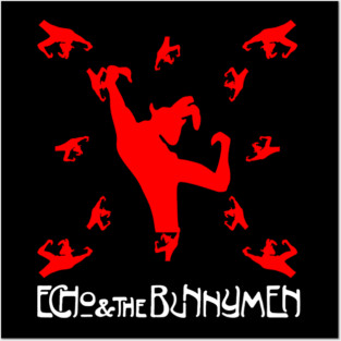 echo and bunnymen Posters and Art