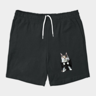 Funny Cute Cat Inside Pocket, Cat Lover Shorts