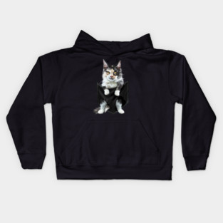 Funny Cute Cat Inside Pocket, Cat Lover Kids Hoodie