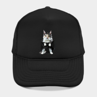 Funny Cute Cat Inside Pocket, Cat Lover Hat