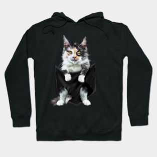 Funny Cute Cat Inside Pocket, Cat Lover Hoodie