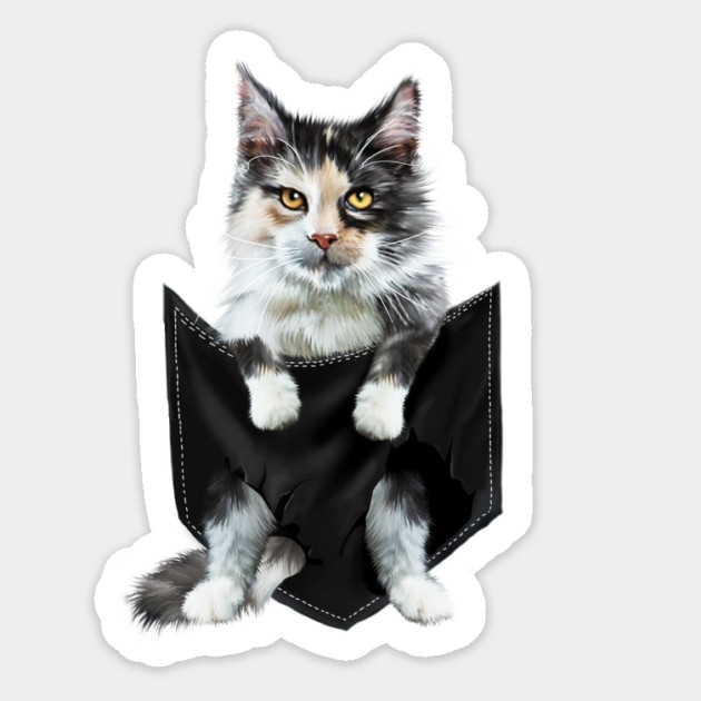 Funny Cute Cat Inside Pocket, Cat Lover Sticker by logiamerch